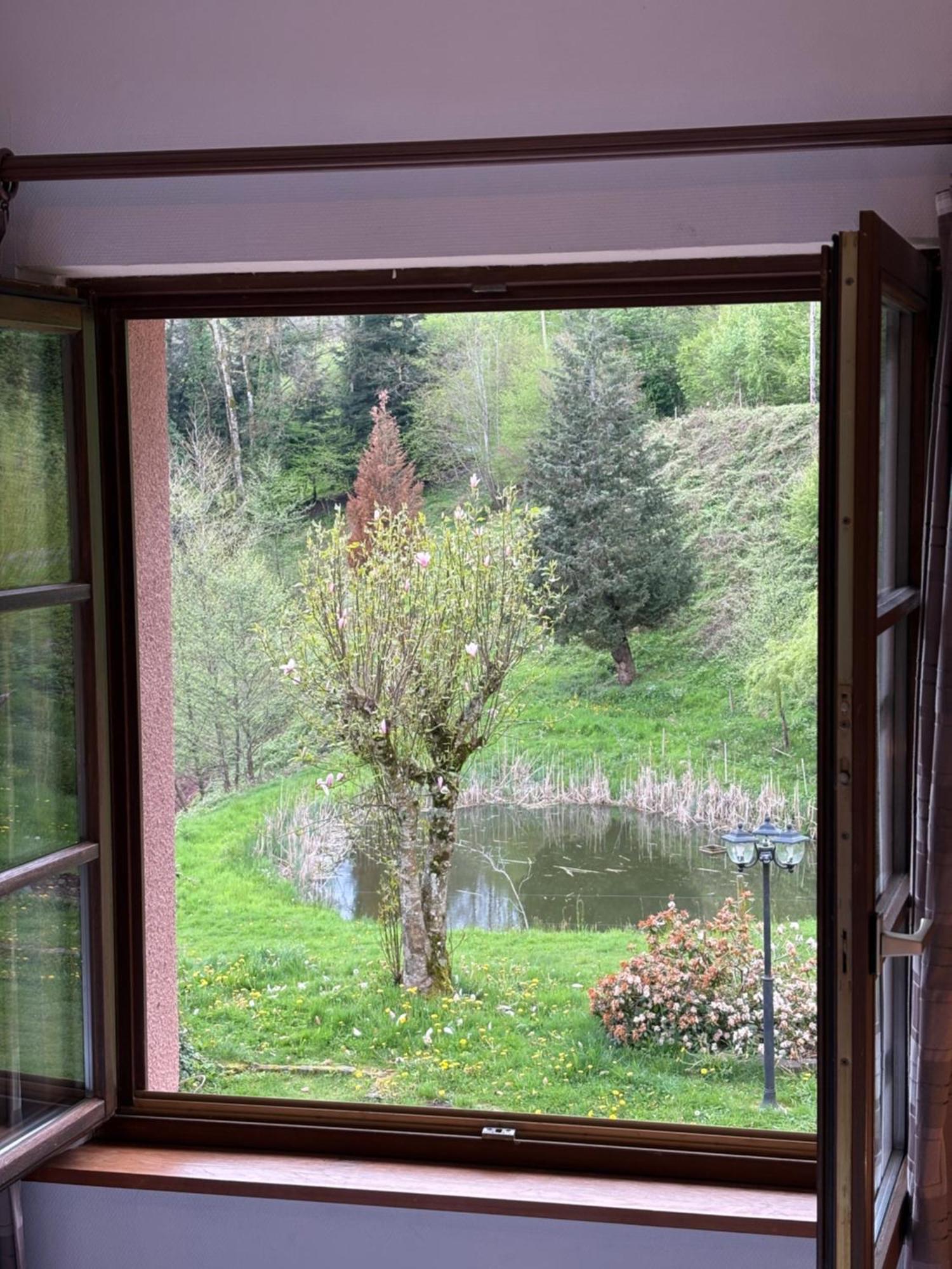 La Belle Charbonniere Hotell La Grande Fosse Rum bild